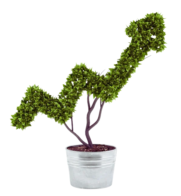 Digital Marketing Agency Near Me Digital Marketing Agency Near Me